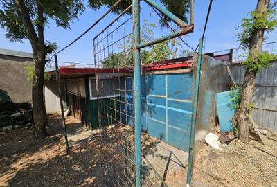 CASA TRADIȚIONALĂ ”MAGNOLIA, P+M 195mp, TEREN 556mp, CHIAJNA-STR. EROULUI - 49