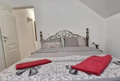 Cabana de vanzare, Afacere la cheie! 230 mp utili, zona Baisoara! - 5