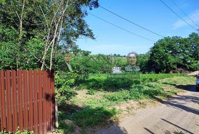 Teren pentru casa/Fantani/Nicoresti - 5