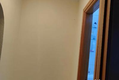 Apartament cu 2 camere semidecomandat în Pantelimon - 9