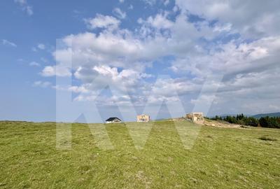 Teren Intravilan de 1003 mp in Paltinis - Priveliste Unica, Locatie de Top! - 2