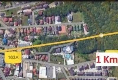 Teren Trivale - Aleea Bradului - Zona excelenta Teren Trivale - Aleea Bradului - Zona excelenta - 2