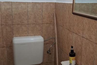 Spațiu comercial, de 44 mp, în Astra - 1