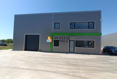 Spațiu comercial, de 598 mp, în Afumați - 4