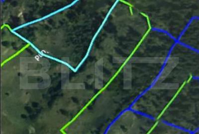 Padure 1,42 hectare in Poiana Ilvei - 2