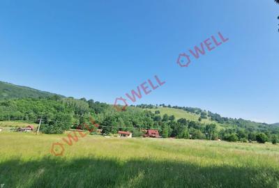Teren de 940 mp, în Brăduț - 2
