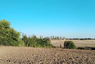 Ciolpani, spre Izvorani - COR, vanzare teren 5000mp. - 15