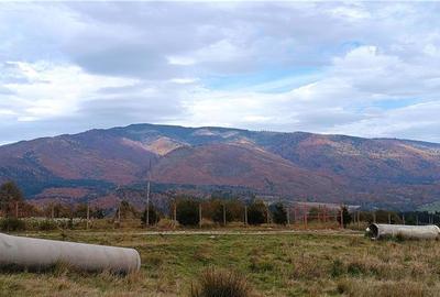 Teren de 5050 mp, în Nucșoara - 7