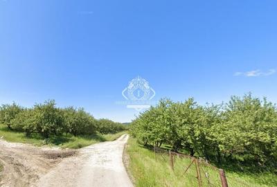 Teren de Vânzare - 34.485 mp | Câmpulung Muscel | Zonă Panoramică & Dezvoltare