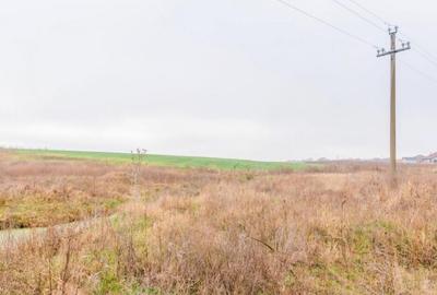 CERNICA - POSTA - TEREN INTRAVILAN CONSTRUCTII 15000 MP! - 13