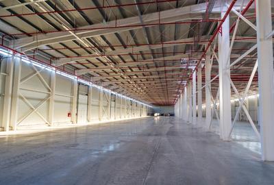 Spatii depozitare, hala, birouri, parcare Cernica Spatii depozitare, hala, birouri, parcare Cernica - 2