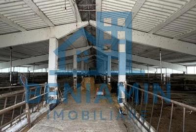 60.000mp Ferma de bovine, pasari, porcine, culturi agricole Diverse - 1