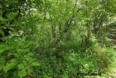 Teren Construcții intravilan de 1000 mp, în Central - 3