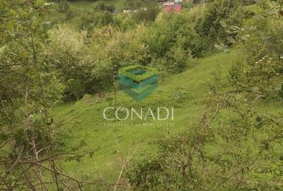 Teren de 800 mp, în Central - 14