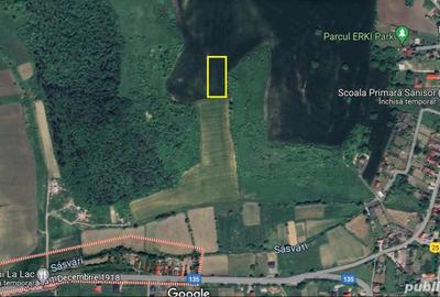 Teren de 10000 mp, în Ivănești - 1