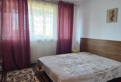 Apartament cu 2 camere semidecomandat, mobilat în Câmpia Libertății - 2