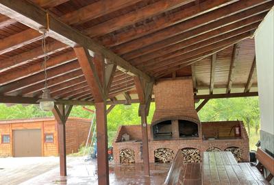 Spațiu comercial, de 450 mp, în Sasca Montană - 1