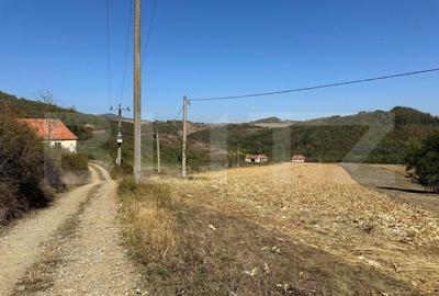 Teren intravilan de vanzare 14000mp,ideal pentru investitie,Stauini,Vintu de Jos - 3