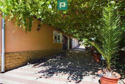 Casă cu 4 camere cu Teren 1393 Mp în Șiria - 10