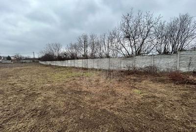 Teren Construcții intravilan de 2490 mp, în Mihai Bravu - 6