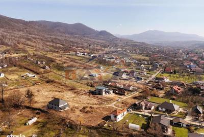 Teren de 10000 mp, în Central - 1