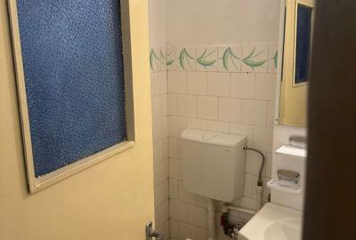 Garsonieră în Calea București - 8