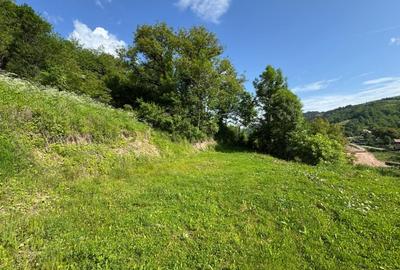 Casa de vanzare, 5 cam., 200 mp. + 5000 mp. teren, Valea Ariesului - 7