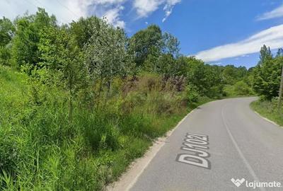 Teren de 3274 mp, în Lunca Mare - 3