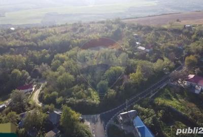 Casă cu 3 camere cu Teren 5245 Mp în Șerbănești - 2