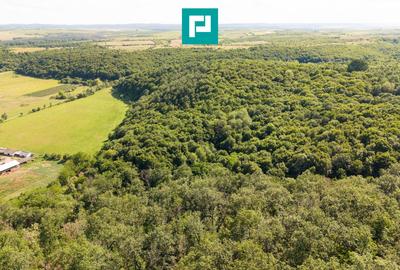 Teren agricol extravilan de 22900 mp, în Exterior Sud - 16