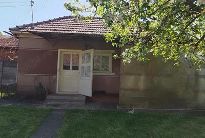 Casă cu 2 camere în Sânmihaiu Almașului - 5