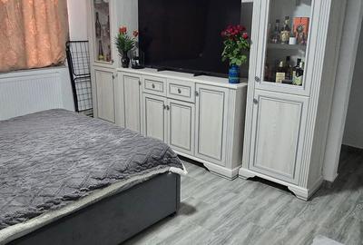 Apartament cu 2 camere în Rovinari - 8