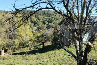 Teren cu priveli?te superba , livada ?i poten?ial casu? - 5