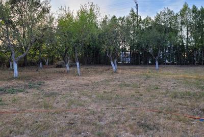 REL4000842 De vanzare teren intravilan 1000 mp. Corbeanca - 10