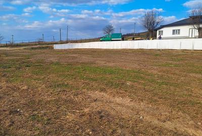 Teren de 7000 mp, în Solești - 3