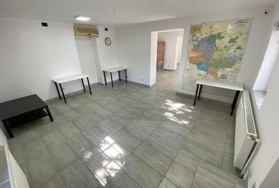 Parcul Carol, apartament in vila, parter, 6 camere, 4 bai, 2 bucatarii, pt birou - 16