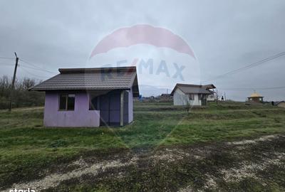 Teren de 129700 mp, în Iepurești - 6