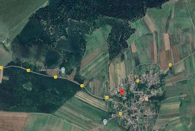 Cota de 1/2 din casa si teren- sat Poroini?a, Comuna Rog... - 5