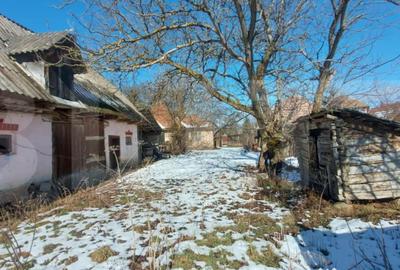 Casă cu 3 camere cu Teren 7600 Mp în Central - 1