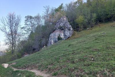 Teren de 11048 mp, în Moieciu - 4