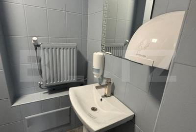 Spatiu Comercial de inchiriat, 88 mp utili , Piezisa, Vad Exceptional! - 3