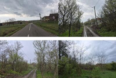 Teren de 802 mp, în Avrămeni - 1
