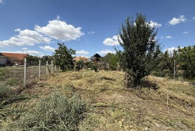 Casa individuala 2 camere, 80mp utili, 997 teren in Utvin - 20