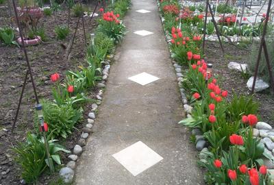 Casă în Berecuța - 2