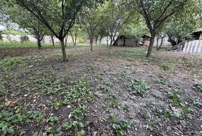 Casa batraneasca renovabila , 1000mp teren 30.000 euro negociabil Balteni - 7