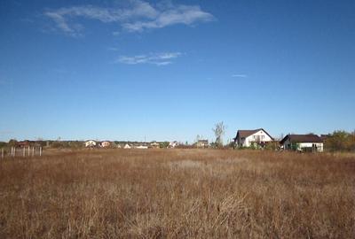 Teghes-Caragea Voda - 14