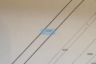 Teren agricol extravilan de 5000 mp, în Vest - 2