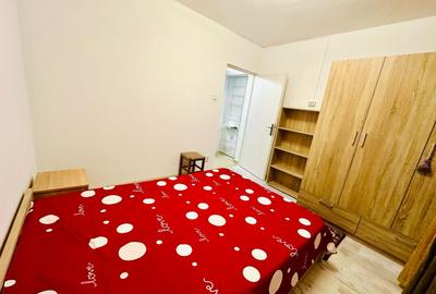 Apartament cu 2 camere semidecomandat în Valea Rosie - 8
