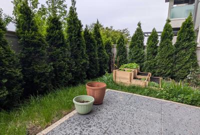 Apartament cu 2 camere semidecomandat, mobilat în Central - 1