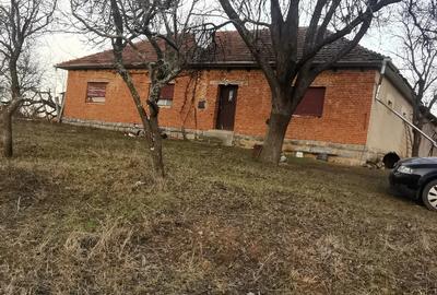 Casa de vanzare in Dumbravi?a de Codru - 4